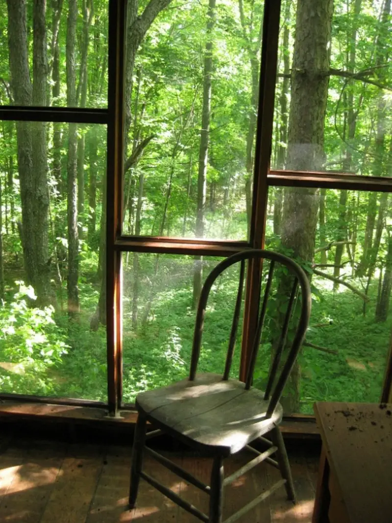 A wall of windows; a view of writers' heaven...