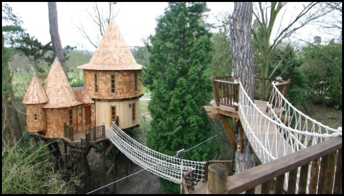 BlueForest Treehouses