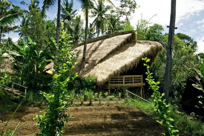 The Green School of Bali