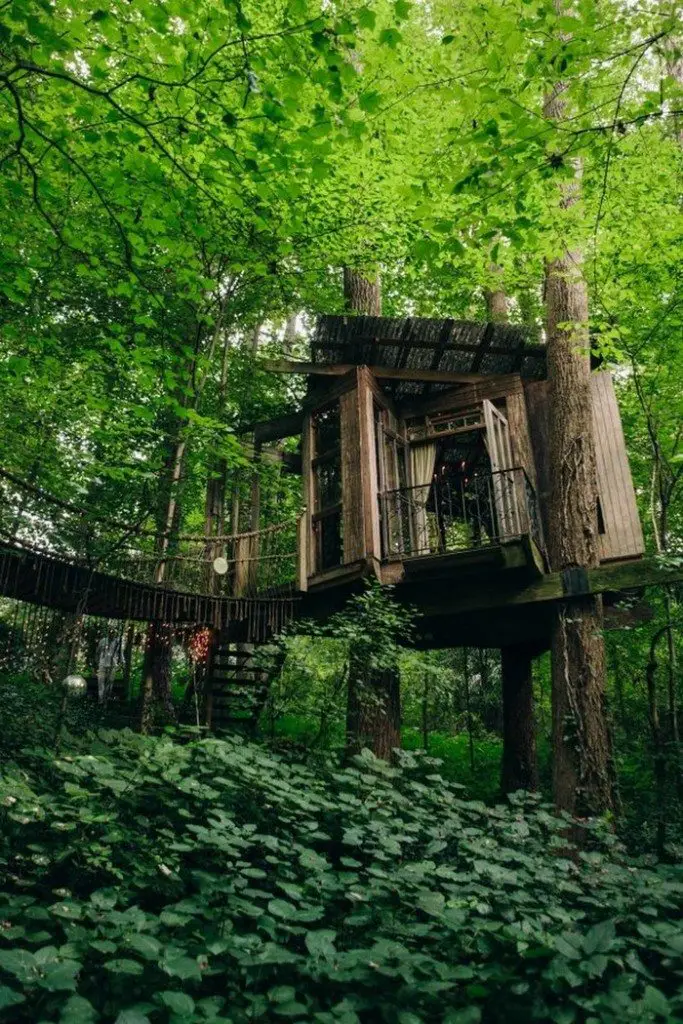 Magic Treehouse in the City