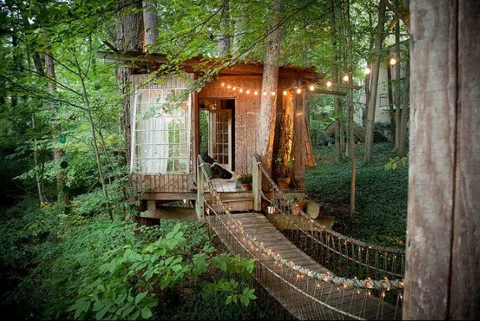 Magic Treehouse in the City